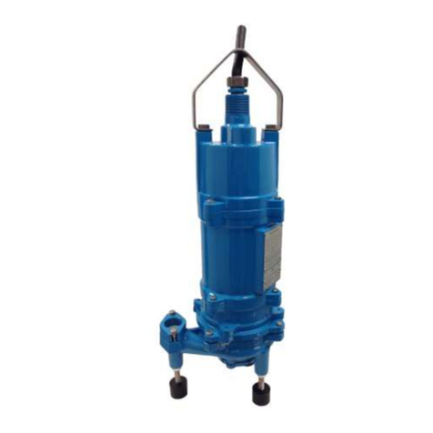 Keen Pump 2hp BG2 Series Installation and service instructions