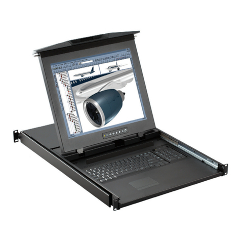 Austin Hughes CyberView D117 User manual