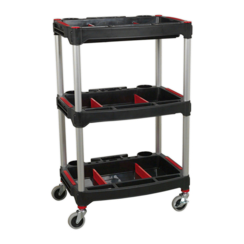 Sealey CX313.V2 User manual
