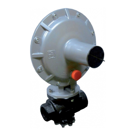 PIETRO FIORENTINI DIVAL 500 User manual