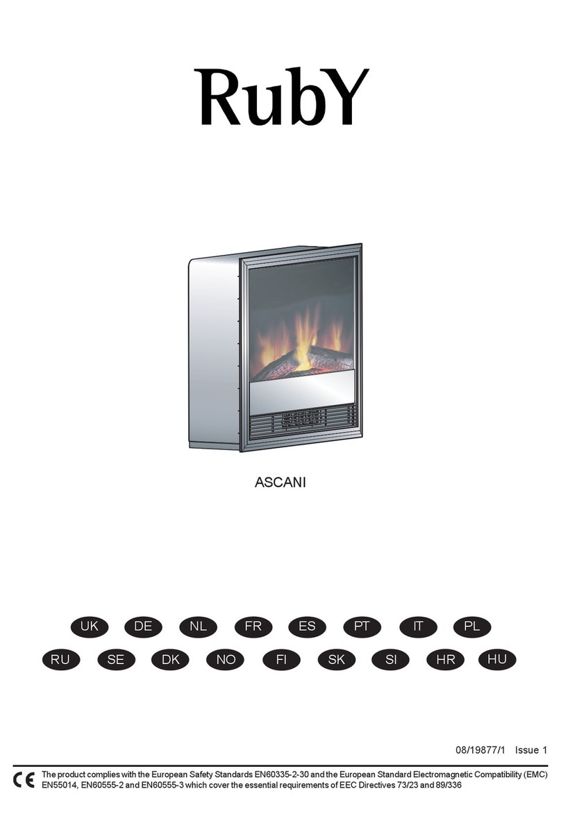 Ruby ASCANI User manual