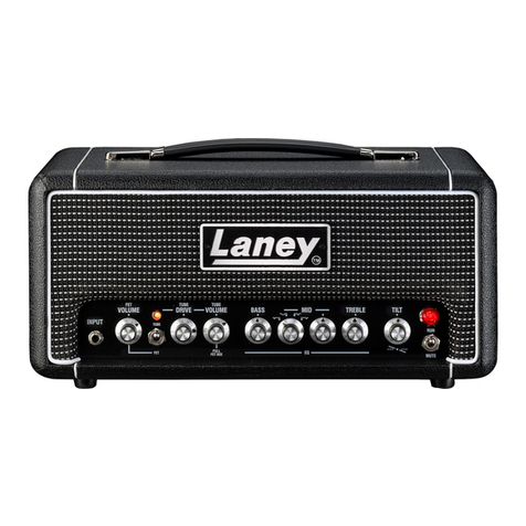 Laney DIGBETH DB500H User manual