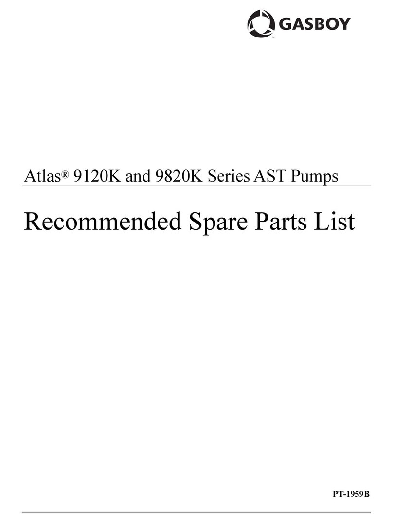 Gasboy AST Series manual