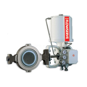 Flowserve Valtek Valdisk Guide
