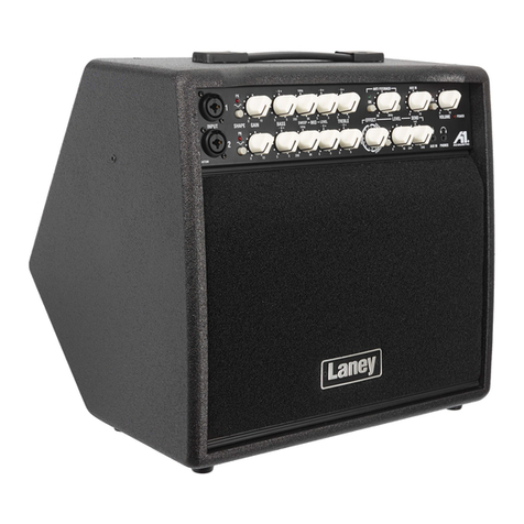 Laney A1+ manual