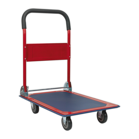 Sealey CST991.V2 User manual