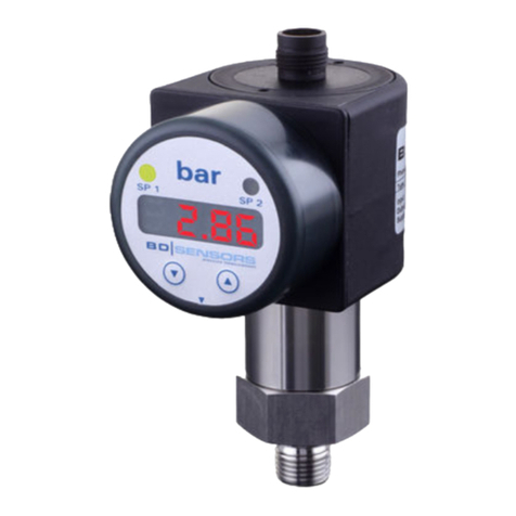 BD Sensors DM 200 Mounting instructions