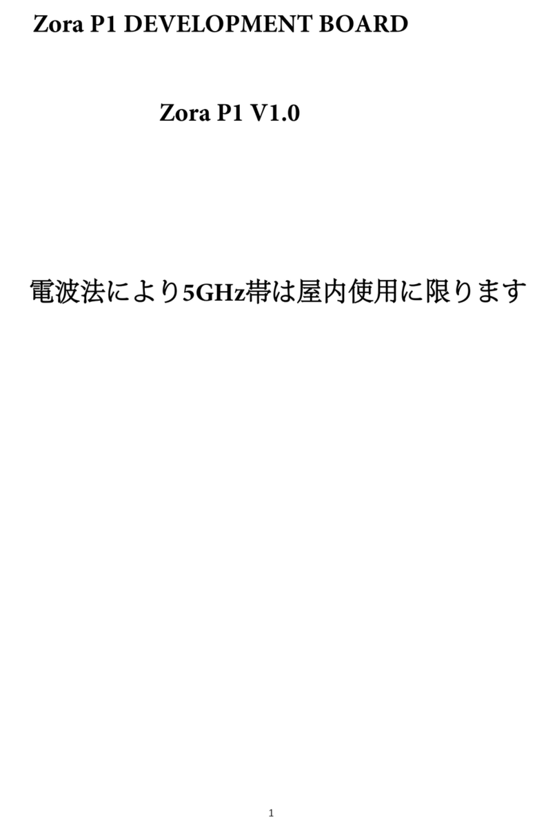 ZORA P1 manual