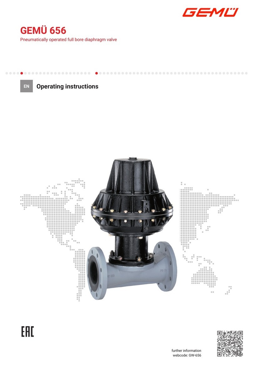 GEM 656 User manual