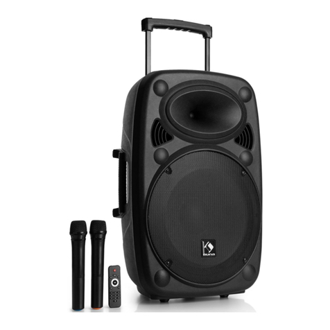 auna Streetstar 12 User manual