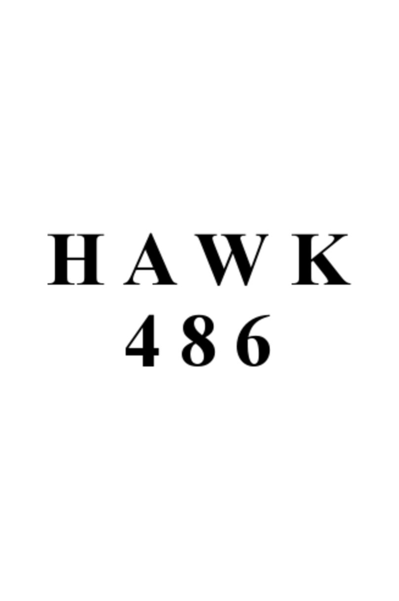 Octek HAWK 486 manual
