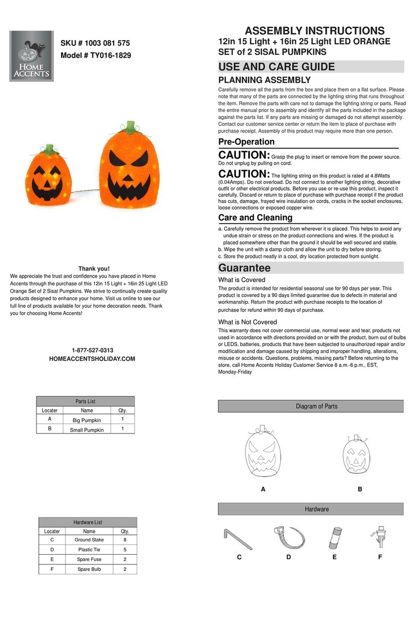 Home Accents TY016-1829 Assembly instructions Home Accents TY016-1829 Assembly instructions