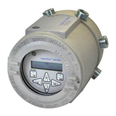 Baker Hughes DigitalFlow XGF868i Service manual