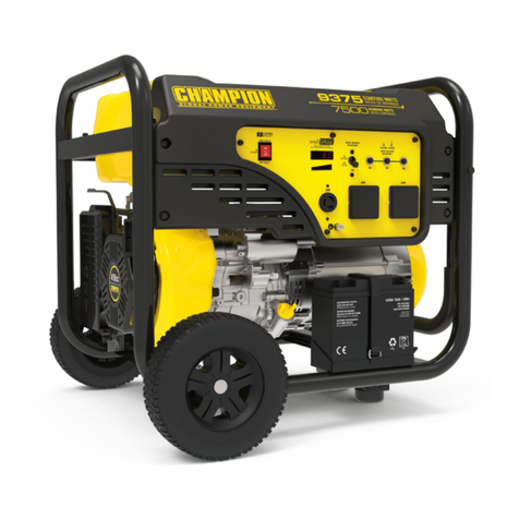 Champion Global Power Equipment 500110-N System manual