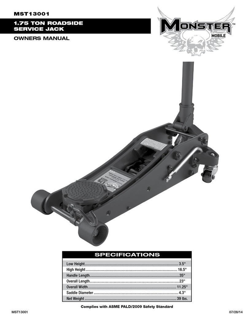 MONSTER MOBILE MST13001 owner's manual