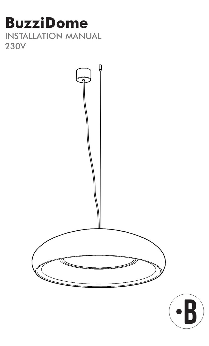 BuzziSpace BuzziDome User manual