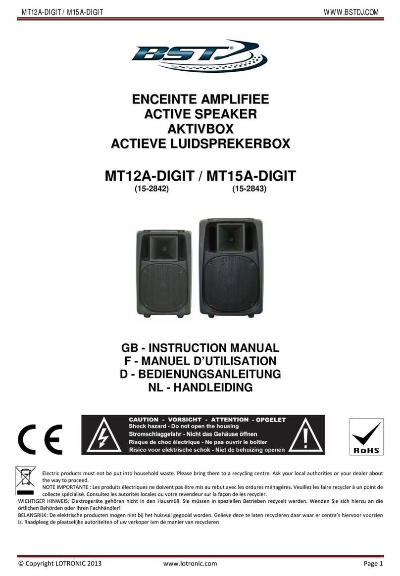 BST MT12A-DIGIT User manual