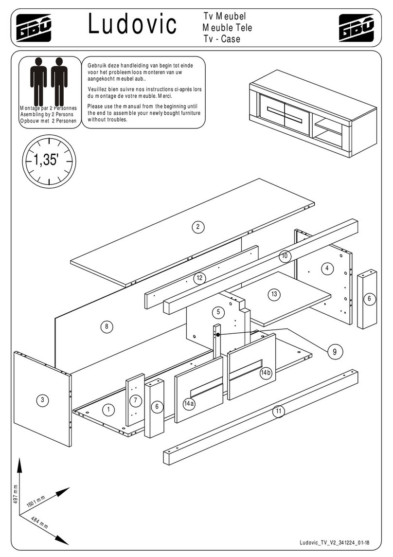 gbo Ludovic User manual