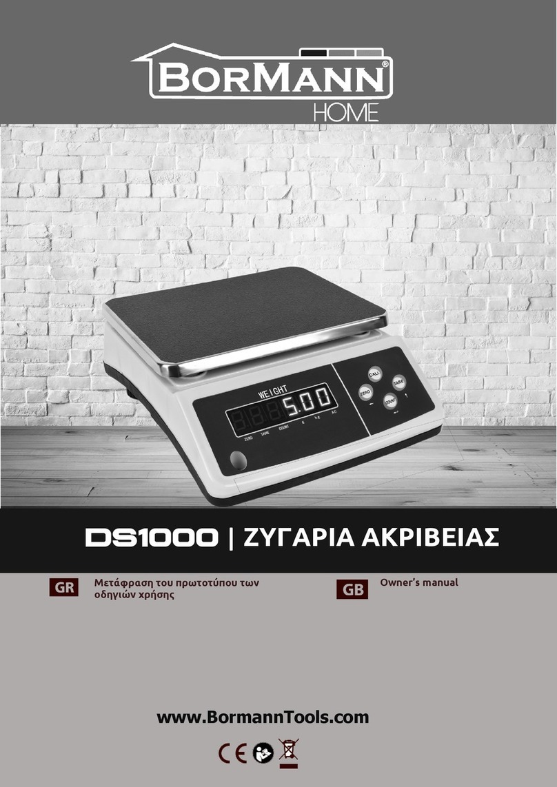 BorMann HOME DS1000 owner's manual