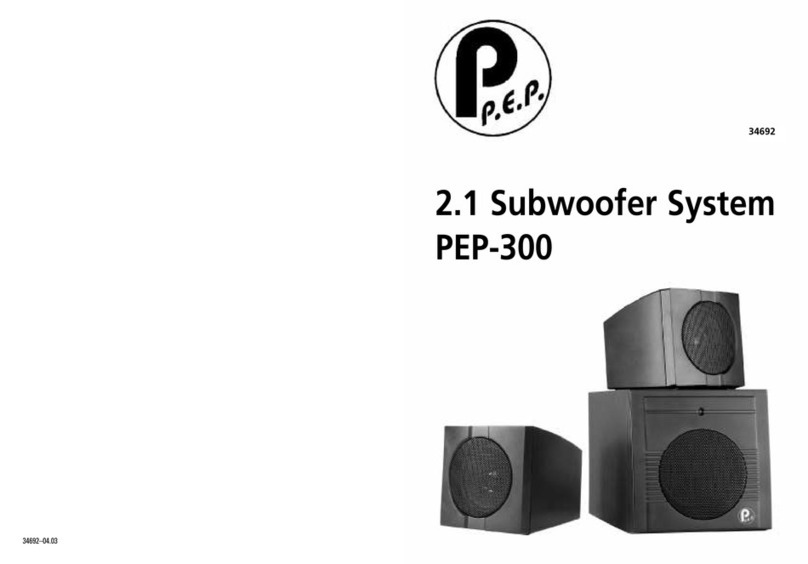P.E.P PEP-300 User manual