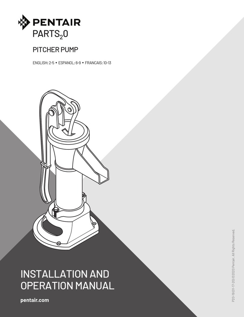 Pentair PARTS20 FPHP25 Installation and operation manual