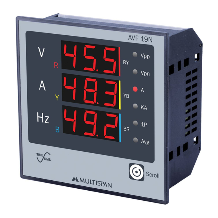 MULTISPAN AVF-19N product manual MULTISPAN AVF-19N product manual