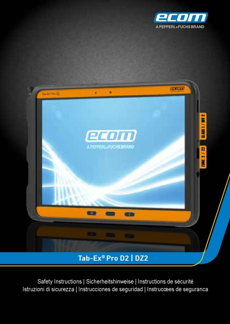 Pepperl+Fuchs Ecom Tab-Ex Pro D2 Installation instructions