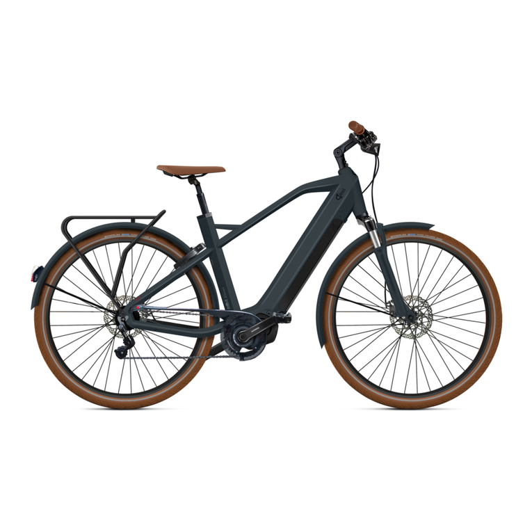 O2Feel Bikes iSwan City User manual