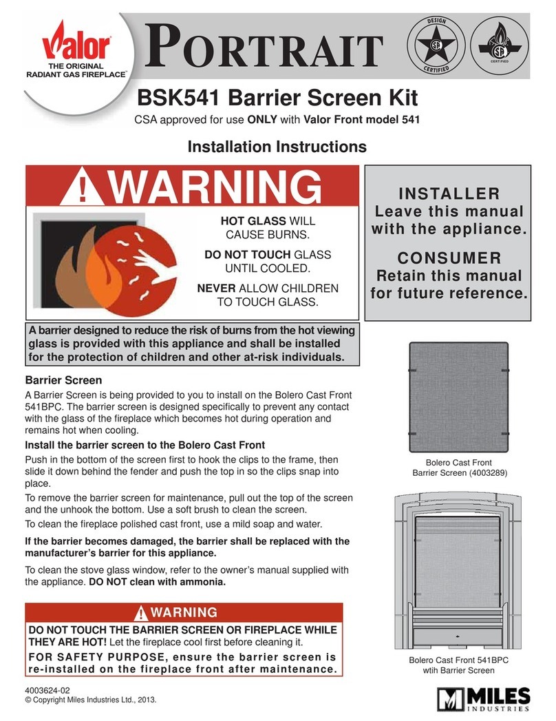 Valor PORTRAIT BSK541 User manual