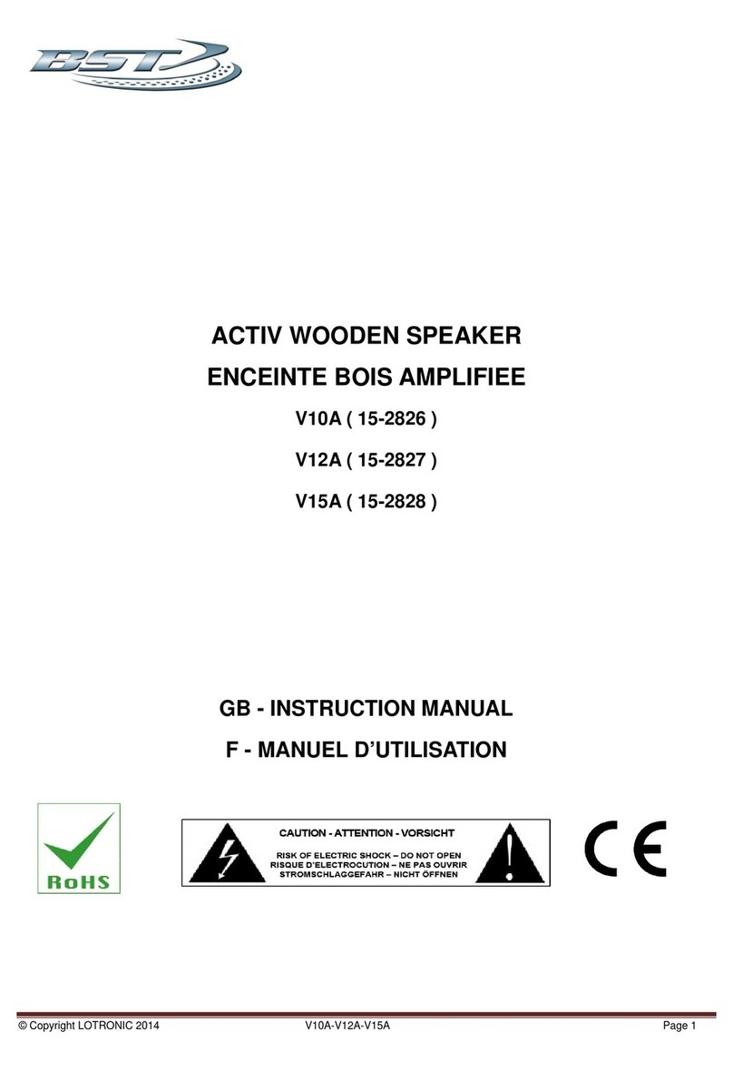 BST V10A User manual