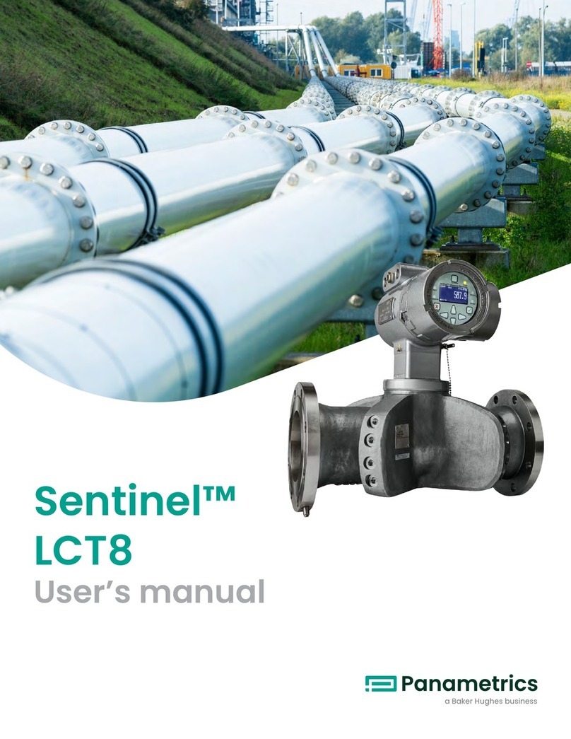 Baker Hughes Panametrics Sentinel LCT8 User manual