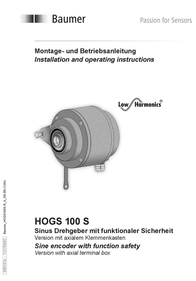 Baumer HOGS 100 S User manual