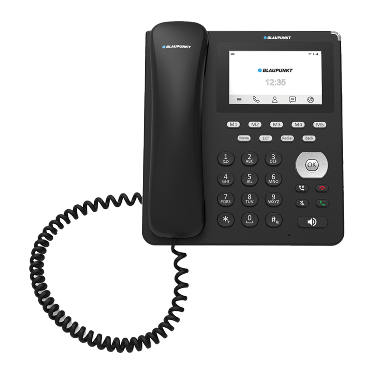 Blaupunkt DT 04 User manual