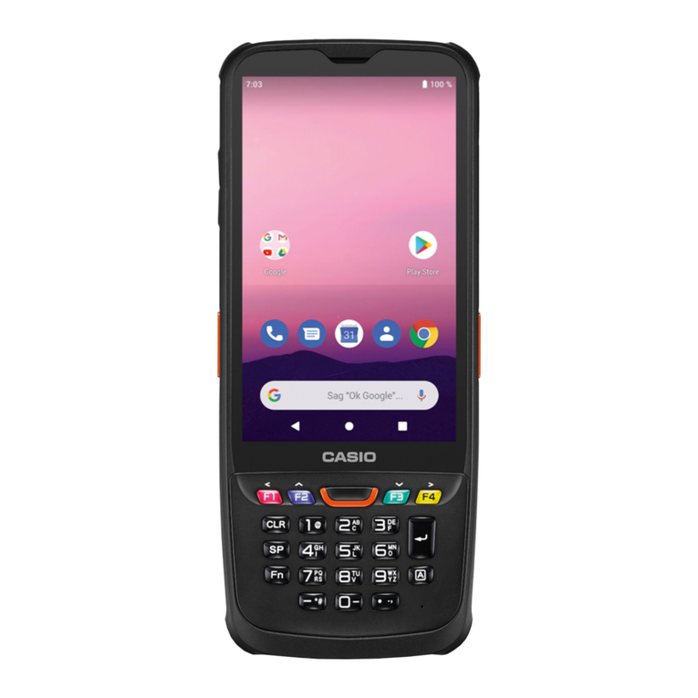 Casio IT-G600 Series user guide
