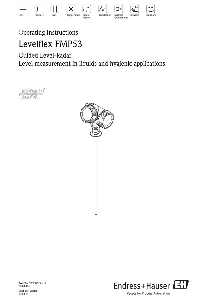 Endress+Hauser Levelflex FMP53 operating instructions