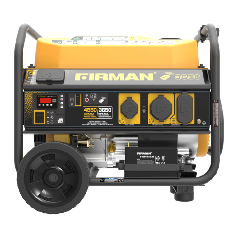 Firman P03603 User manual