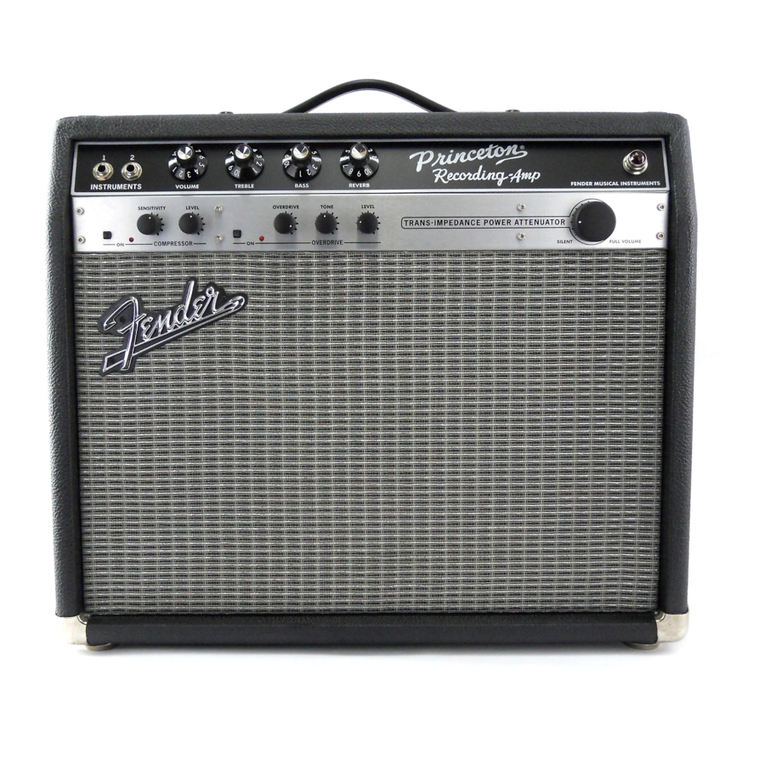 Fender Princeton Recording Amp Service manual