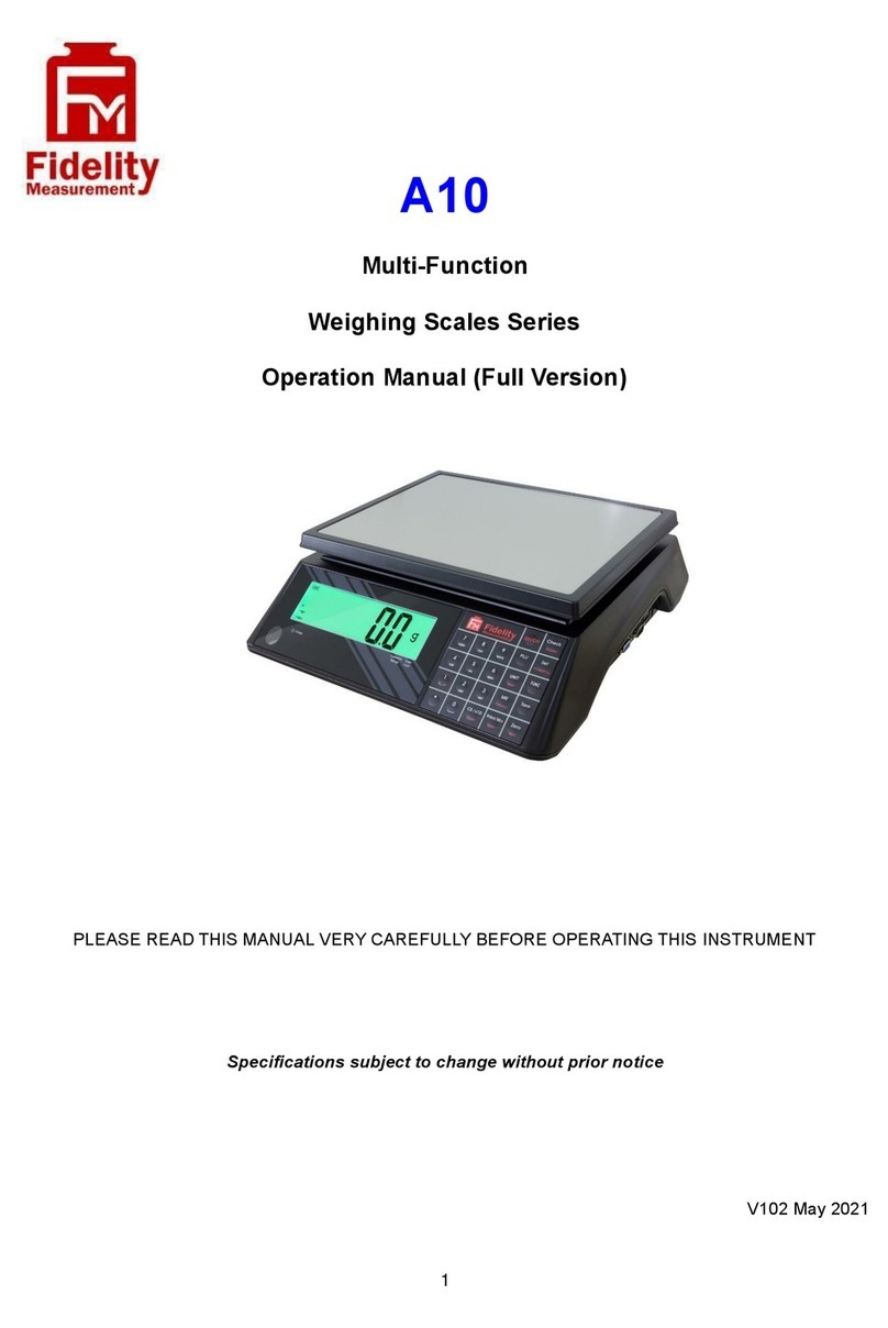Fidelity Electronics A10 User manual