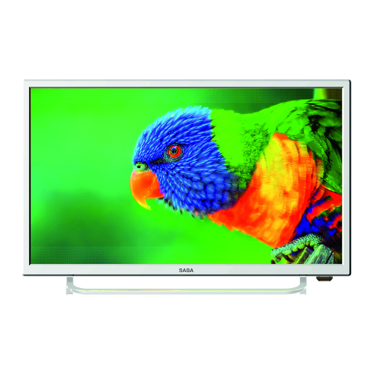 Grandin SB24HD19W User manual
