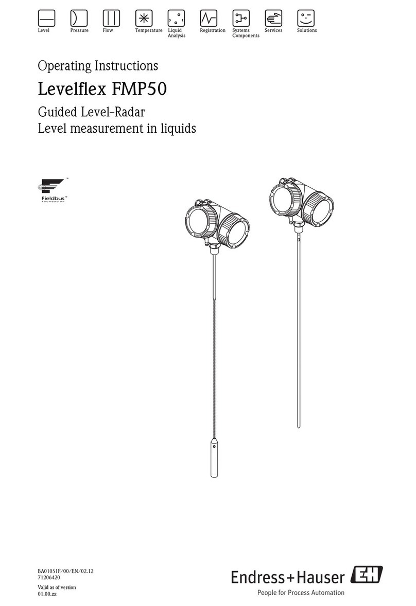 Endress+Hauser Levelflex FMP50 operating instructions