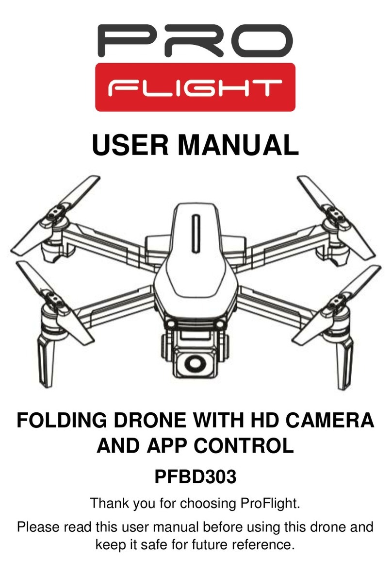 ProFlight PFBD303 User manual