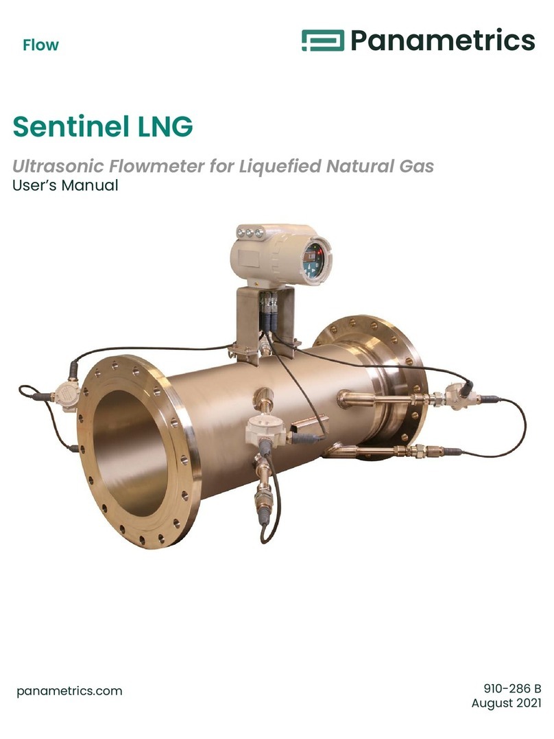 Panametrics Sentinel LNG User manual