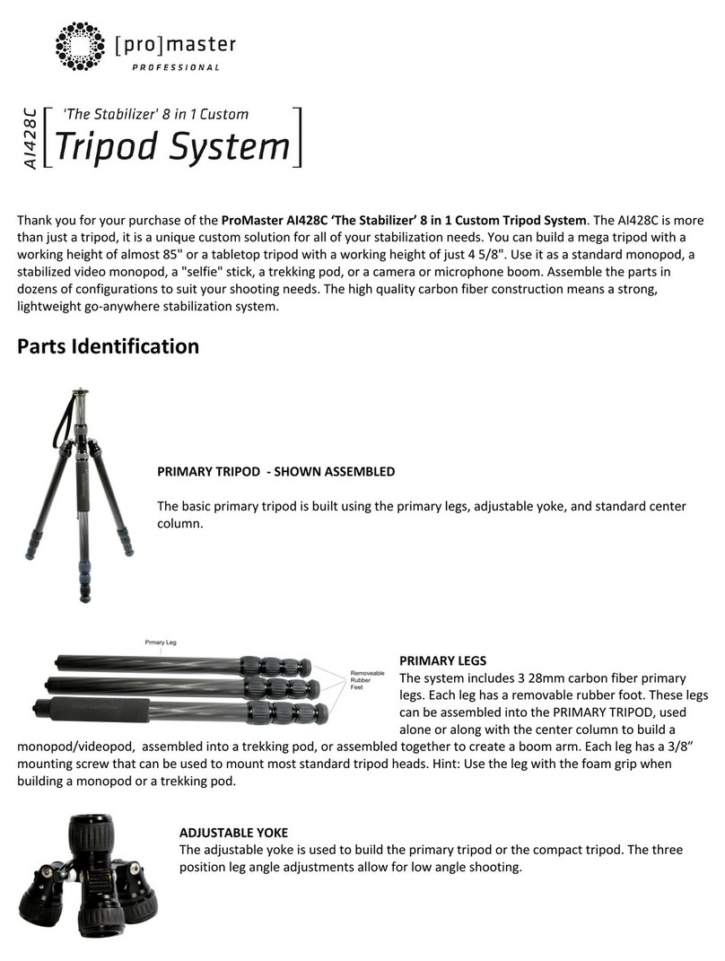 pro master AI428C User manual pro master AI428C User manual