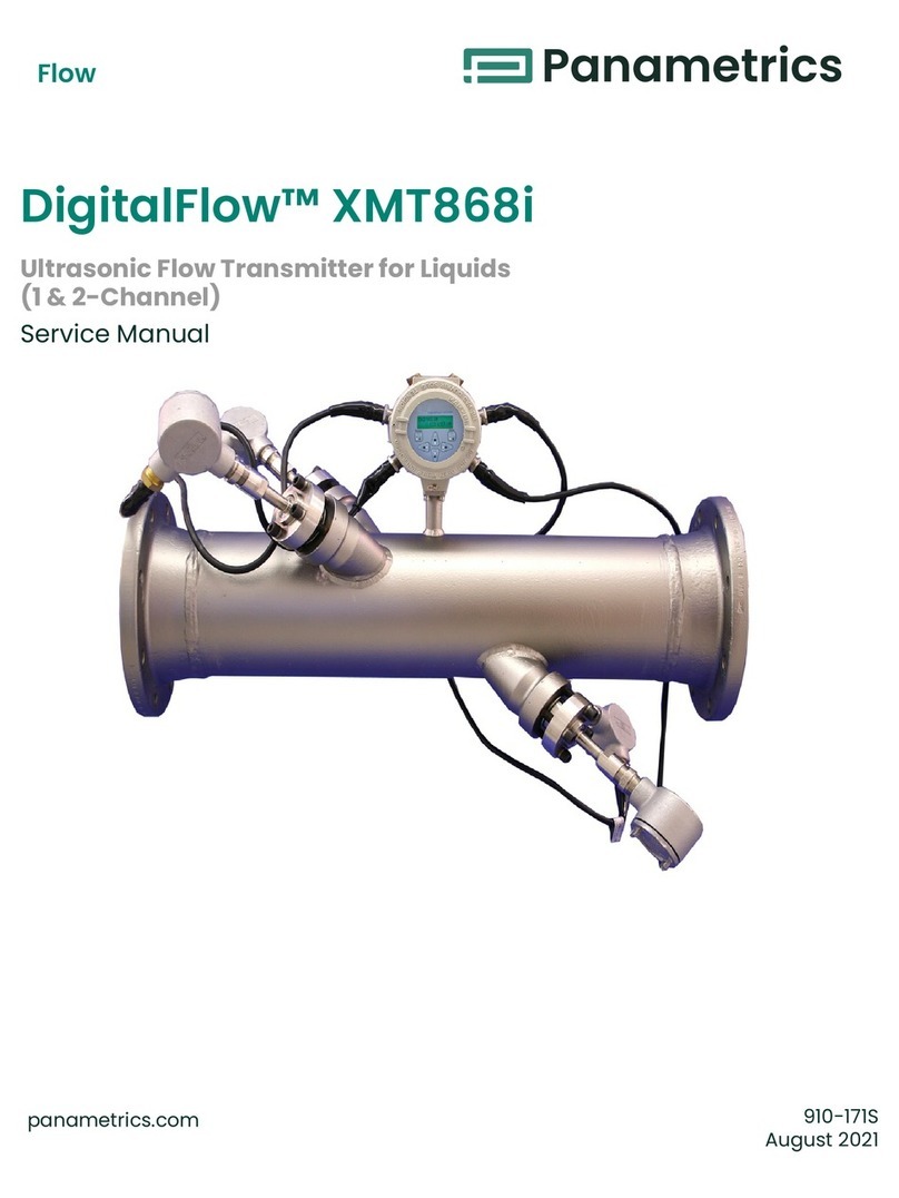 Panametrics DigitalFlow XMT868i Service manual