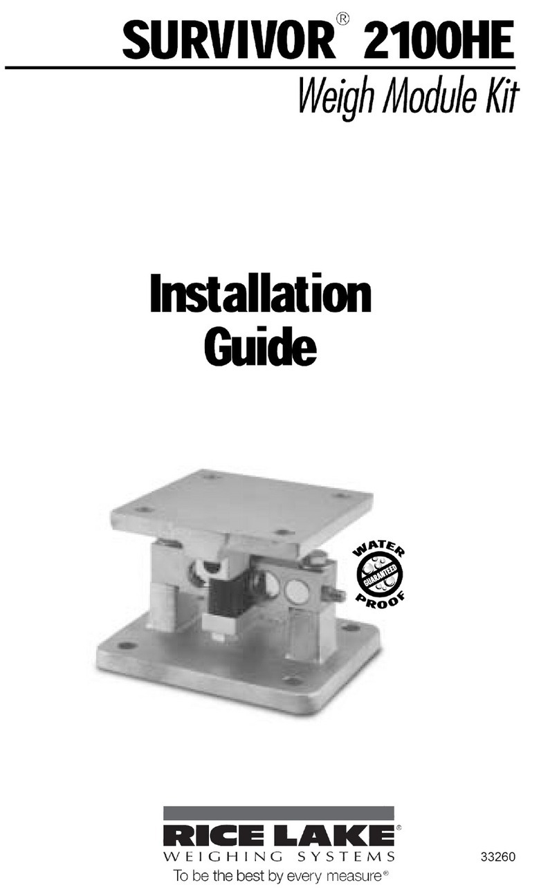 Rice Lake SURVIVOR 2100HE installation guide
