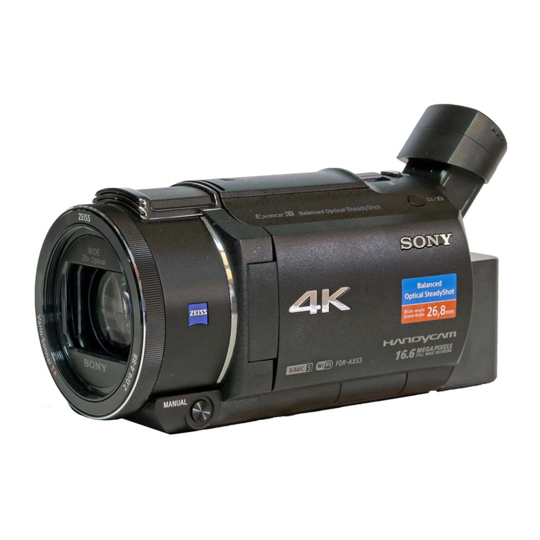 Sony FDR-AX53 manual