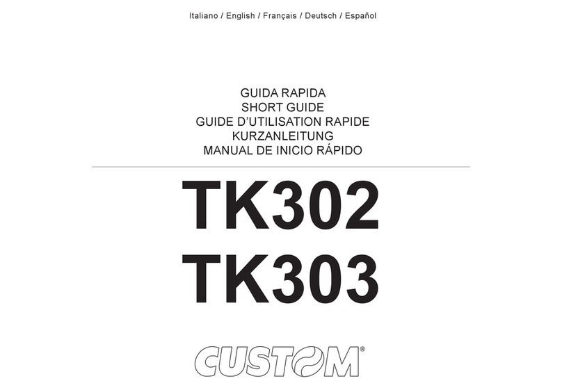 Custom Audio Electronics TK302 Supplement