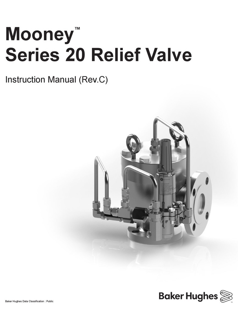 Baker Hughes Mooney 20 Series User manual