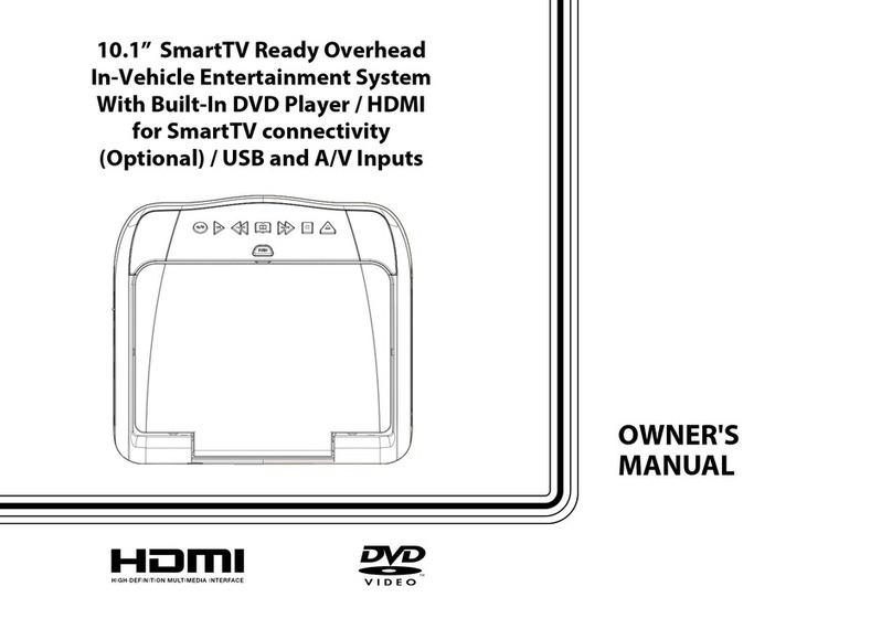 Voxx Electronics ADVP10 owner's manual