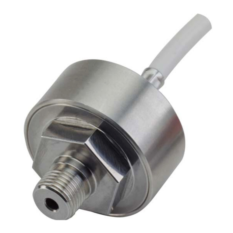 Pfeiffer Vacuum RPT 010 User manual